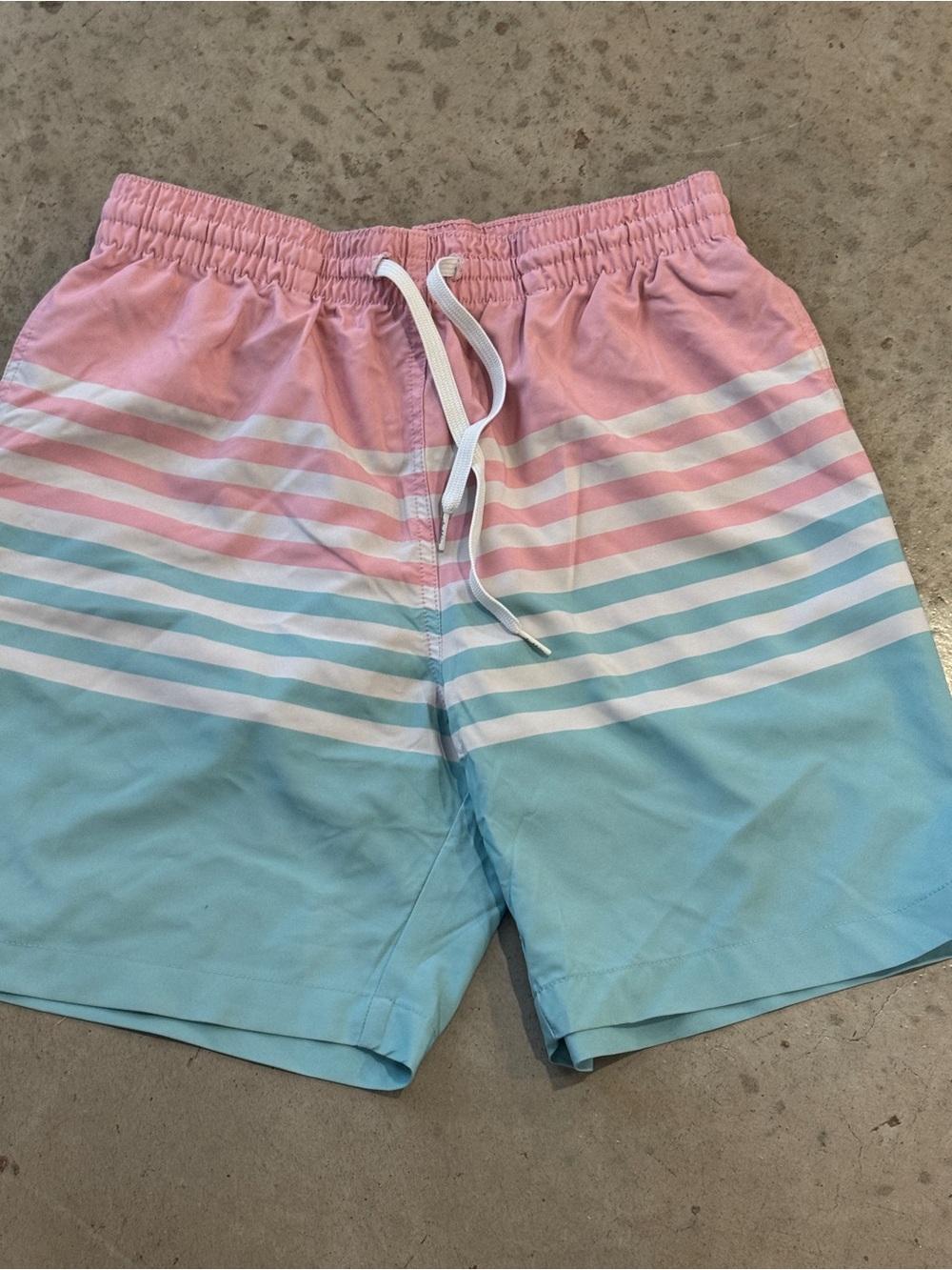 Men's Chubbies Pink & Light Blue Striped Swim Trunks - Picture 1 of 4